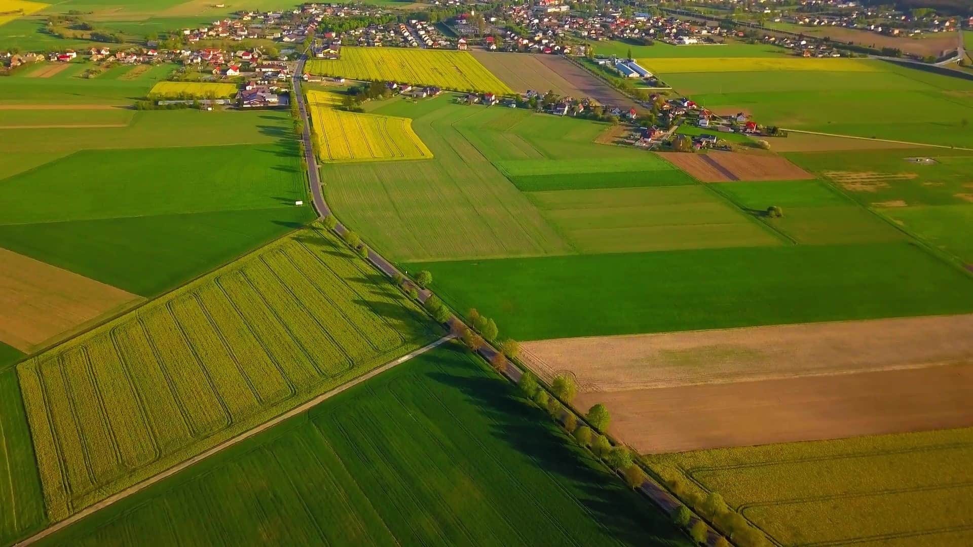 tło-4max-szukamy-min