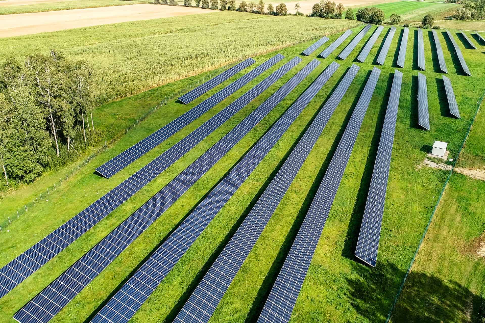 FARMA-PV-DZIERŻAWA